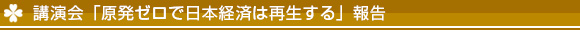 講演会「原発ゼロで日本経済は再生する」報告